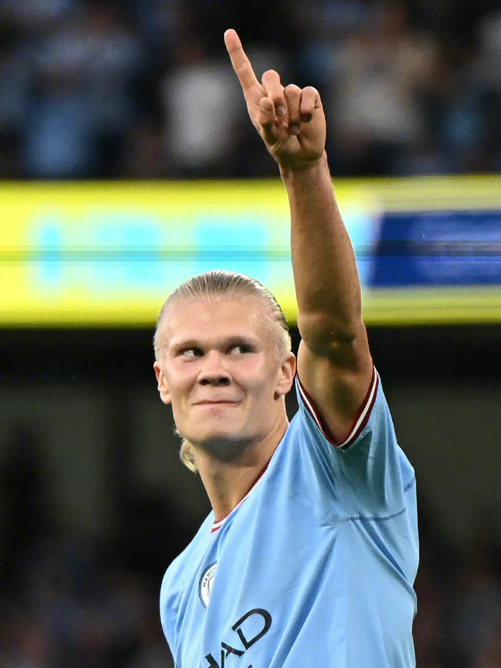 回合TyL